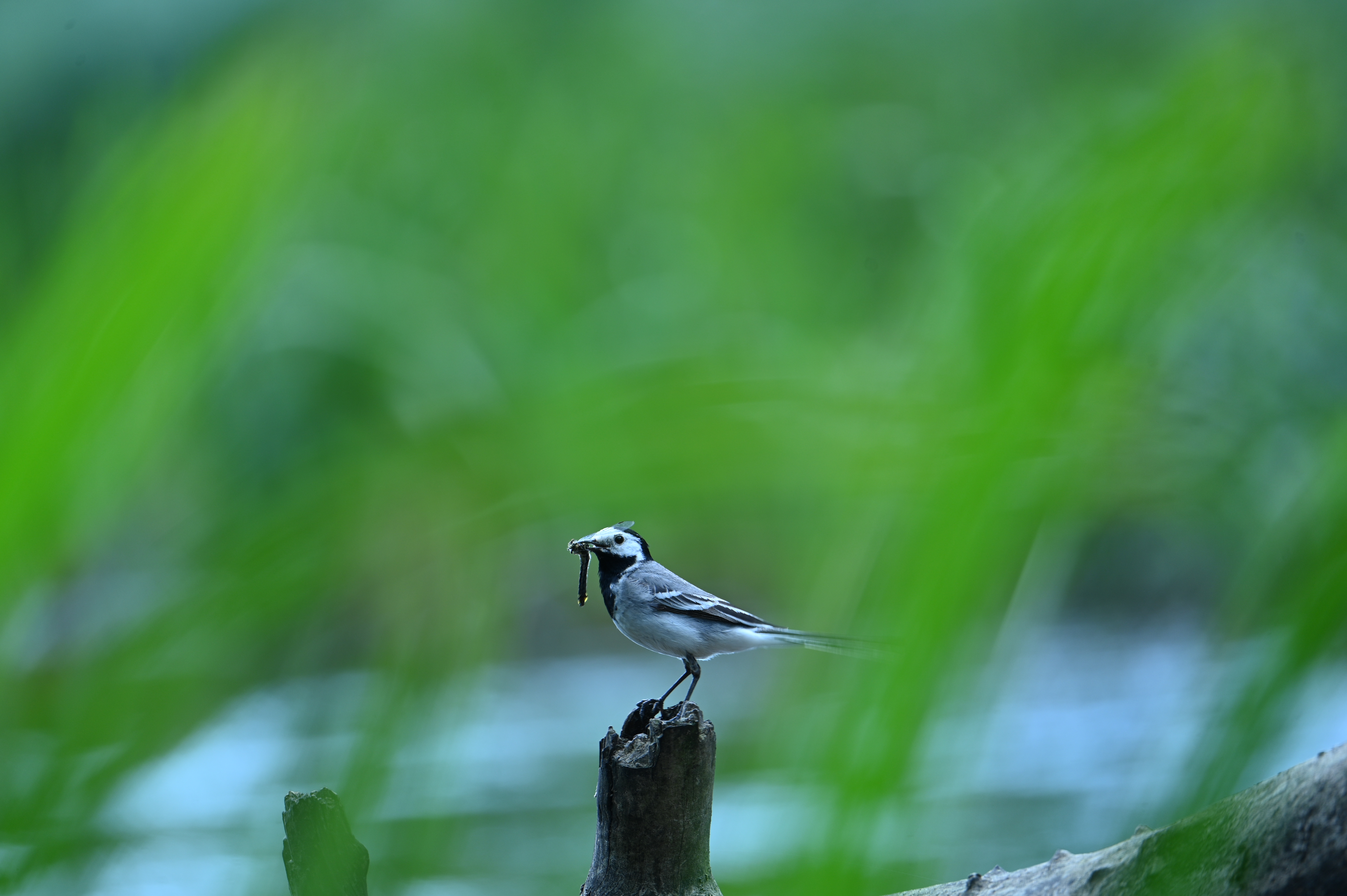 2025/07/09-14 - trip/DSC_0431.JPG